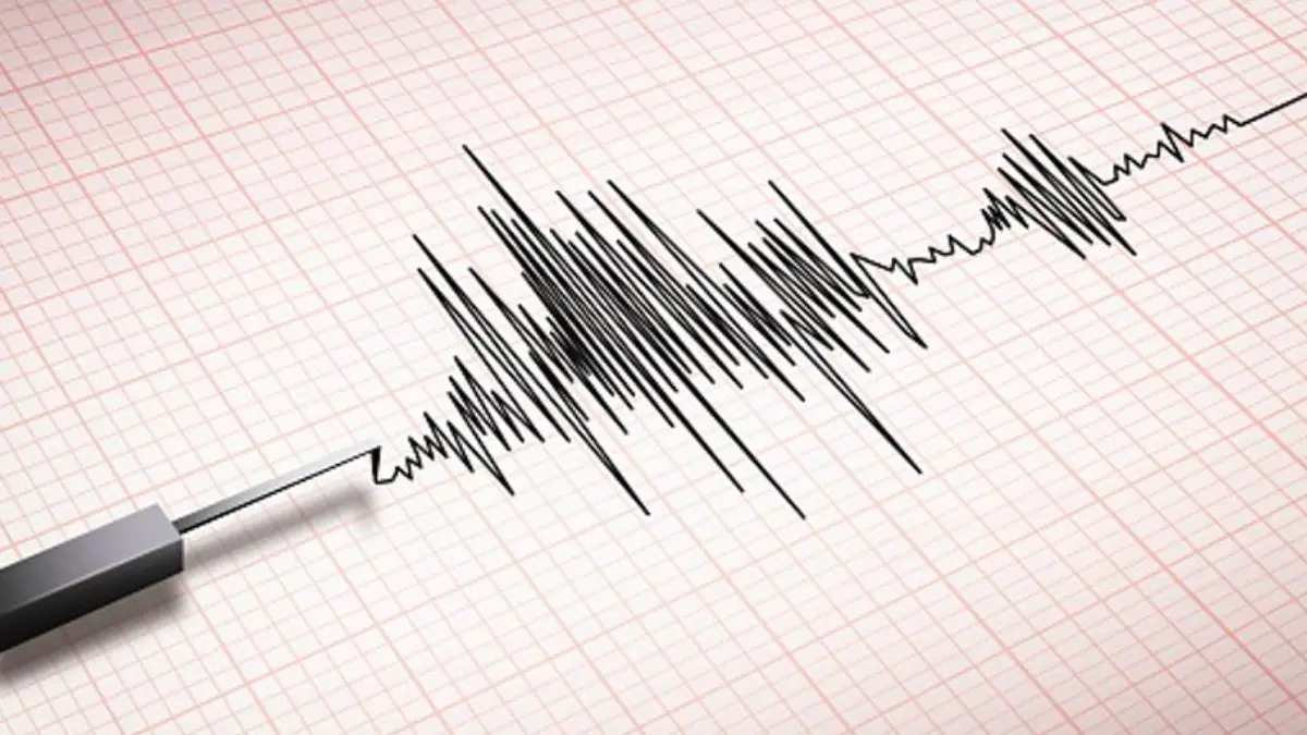 4.0 Magnitude Earthquake Recorded Near Assam